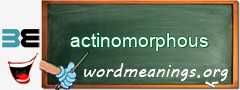 WordMeaning blackboard for actinomorphous